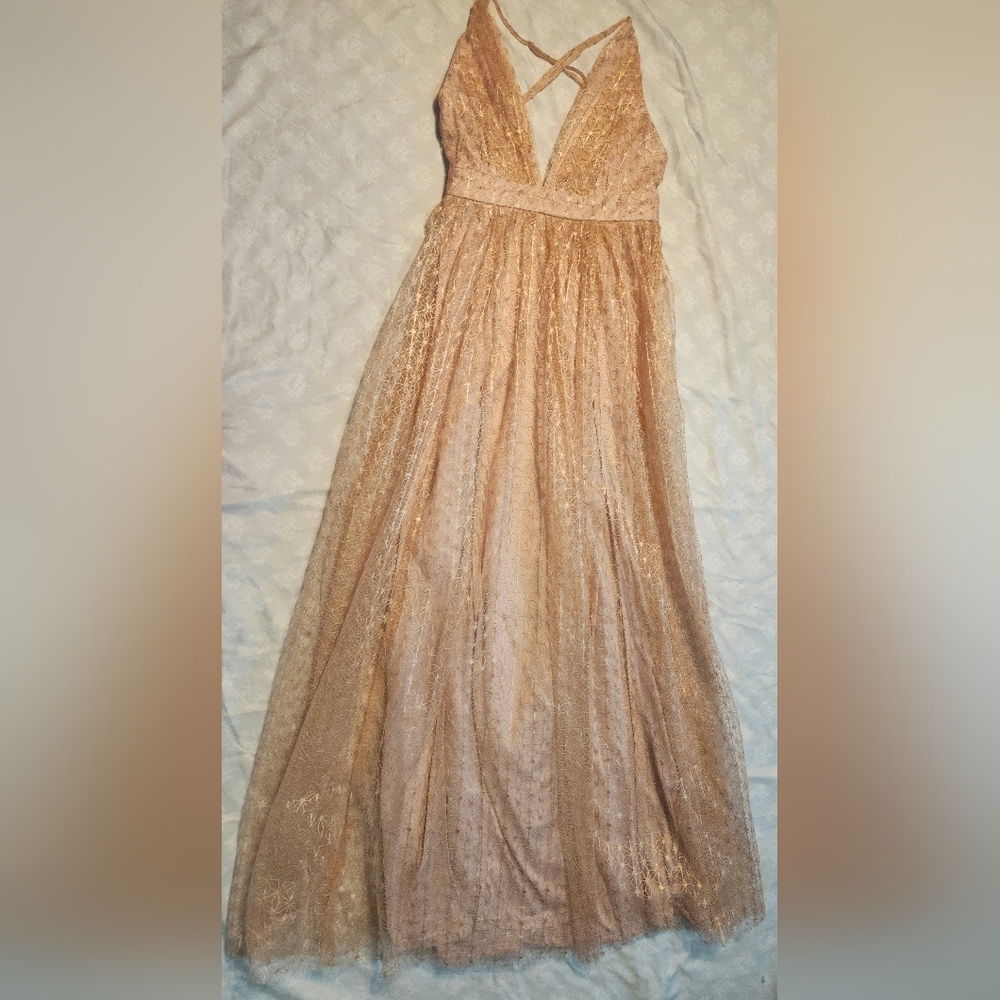 Windsor Tan Sleeveless plunge V-neckline Long Dress